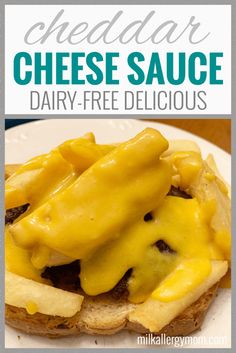 a cheesy sandwich on a plate with text overlay that reads, cheese sauce dairy - free delicious