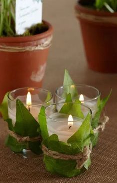 three candles are sitting on a table next to some potted plants