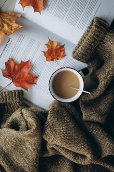 an open book, cup of coffee and autumn leaves