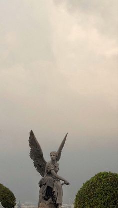 Aesthetic roses angel
#Aesthetic # City View Aesthetic, Statue Wallpaper, Aesthetic Angel, View Aesthetic, An Angel, City View, The City