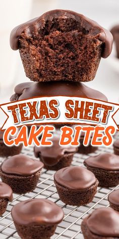 chocolate cupcakes on a cooling rack with the words texas sheet cake bites above them