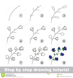 step by step instructions on how to draw a flower for beginners stock photo image