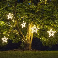 christmas lights are hanging from the branches of a tree