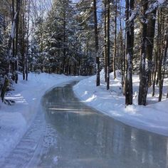 an icy road in the woods with trees on both sides and snow on the ground