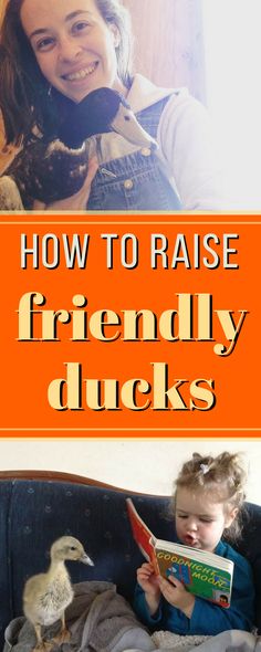 BEST tips for raising really friendly ducks that actually love spending time with you! How To Raise Ducks, Homesteading Chickens, Duck Houses, Homestead Recipes, Backyard Ducks, Cute Chicken Coops, Best Egg Laying Chickens, Duck Coop, Micro Farm