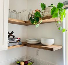 the shelves in the kitchen are filled with plates and bowls, books, and plants