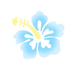 a blue and yellow flower on a white background