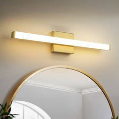 a bathroom light that is on the wall above a mirror and plant in front of it