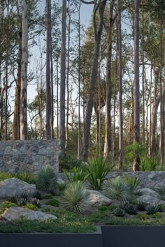 a stone wall surrounded by trees and plants