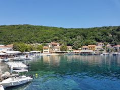 boats are docked in the clear blue water