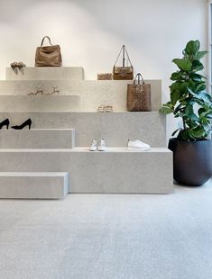 the interior of a shoe store with shoes on display and bags hanging from the wall