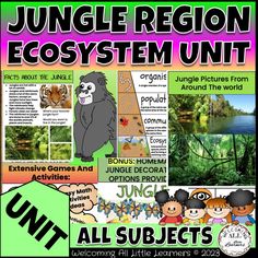 the jungle region and its environment unit is shown with information about each individual species in it