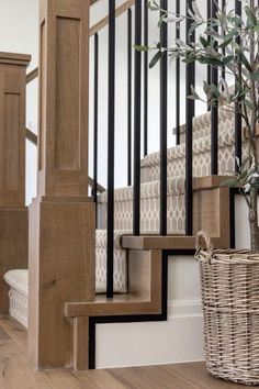 a wooden stair case next to a basket with an olive tree in it on the floor