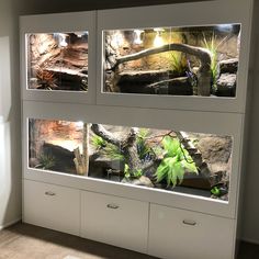 an aquarium with plants and rocks on the wall in front of it's glass doors