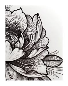 black and white drawing of a flower with intricate designs on it's back side