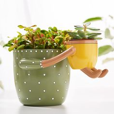 PRICES MAY VARY. Adorable planter that will melt your heart. A must have addition to your plant family Ideal pot for indoor plants, fits 4” and 5” nursery pots, and up to 2.5” small succulent pots. Both pots have drainage Cute decor for any part of your home. This flower pot makes a cute gift for plant lovers Lovingly handcrafted by artisans. Available in 3 cheerful colors to instantly brighten up any space A thoughtful and cute gift for all the plant lovers in your life! Small Plant Pots, Cute Pots, Novelty Planters, Pots For Indoor Plants, Indoor Flower Pots, Small Flower Pots, Flower Pot Garden, Green Product, Unique Planter