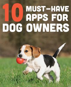 a dog running with a ball in its mouth and the words 10 must - have apps for dog owners