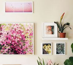 some pictures are hanging on the wall with flowers and plants in them, along with potted plants