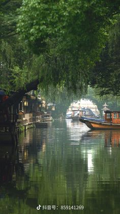 boats are parked along the side of a river with trees hanging over it's sides