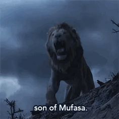 a lion is walking up a hill with the words son of mufasa above it