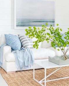 a living room with a couch, coffee table and potted plant in the corner