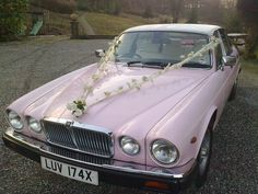 a pink car is decorated with white flowers and ribbons on the front, parked in gravel