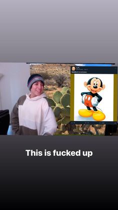 Quackity, quackity streamer, quackity twitch, quackity meme, quackity mickey Memes