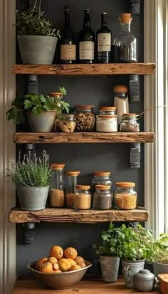 an assortment of herbs and spices on shelves in a kitchen with potted plants next to them