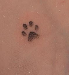 an animal's paw prints in the sand on top of someones back leg