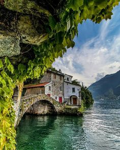 an old house on the edge of a body of water with trees growing over it