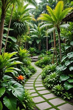 a pathway in the middle of some tropical trees and plants with a stone walkway between them