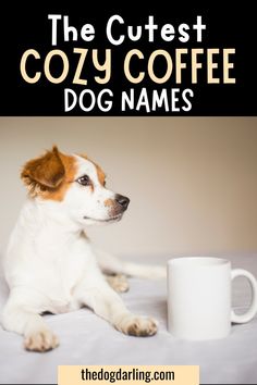 the cutest cozy coffee dog names are in this postcard for your pet