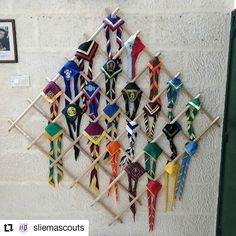 there are many different colored ties hanging on the wall