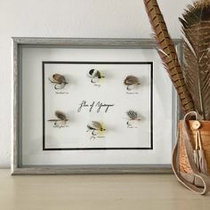 there are many different types of fishing flies in this shadow box with the words fly high on it