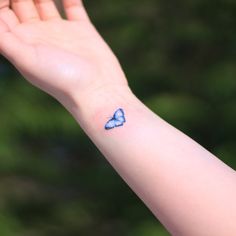 a small blue butterfly tattoo on the wrist