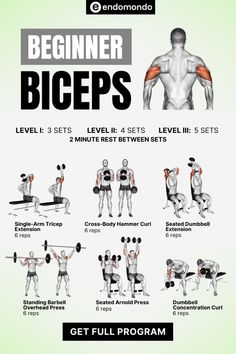 an image of the back and shoulder exercises for beginners