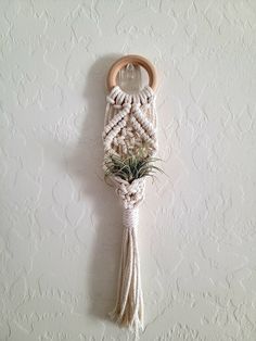 a macrame plant hanging on the wall with a wooden ring around it's center