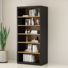 a black bookcase with wooden shelves next to a potted plant on the floor