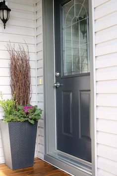 a potted plant sitting on the front porch next to a door with a glass window