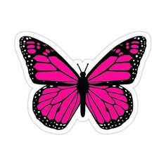 a pink butterfly with black spots on its wings