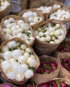 several bags filled with white flowers sitting next to each other