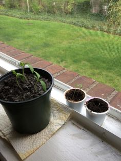 two pots with plants sitting on a window sill next to a grass field outside