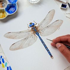 a person is drawing a dragonfly on paper