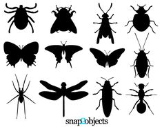 the silhouettes of bugs and insects