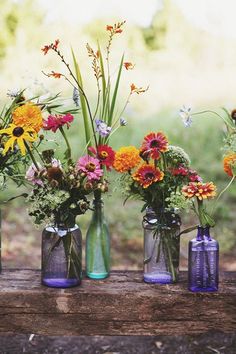 several vases with flowers are lined up on a wooden bench in front of the woods