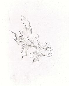 a pencil drawing of a fish on a white paper