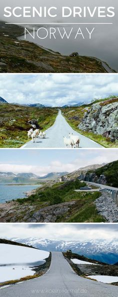 the scenic drives of norway with text overlay