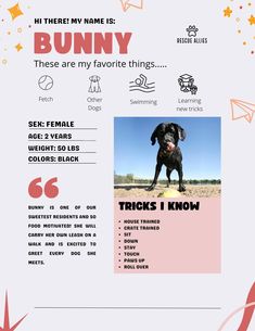 a flyer with an image of a dog on it's back and the words bunny written