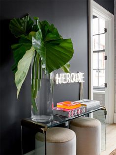 a glass table with books and a plant on it