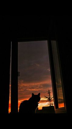 a cat sitting in front of an open window at sunset